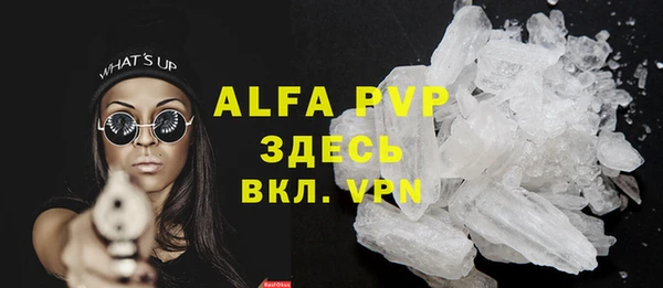 ГАЛЛЮЦИНОГЕННЫЕ ГРИБЫ Белокуриха