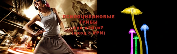 гидра Белоозёрский