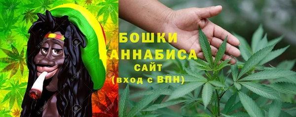 гидра Белоозёрский